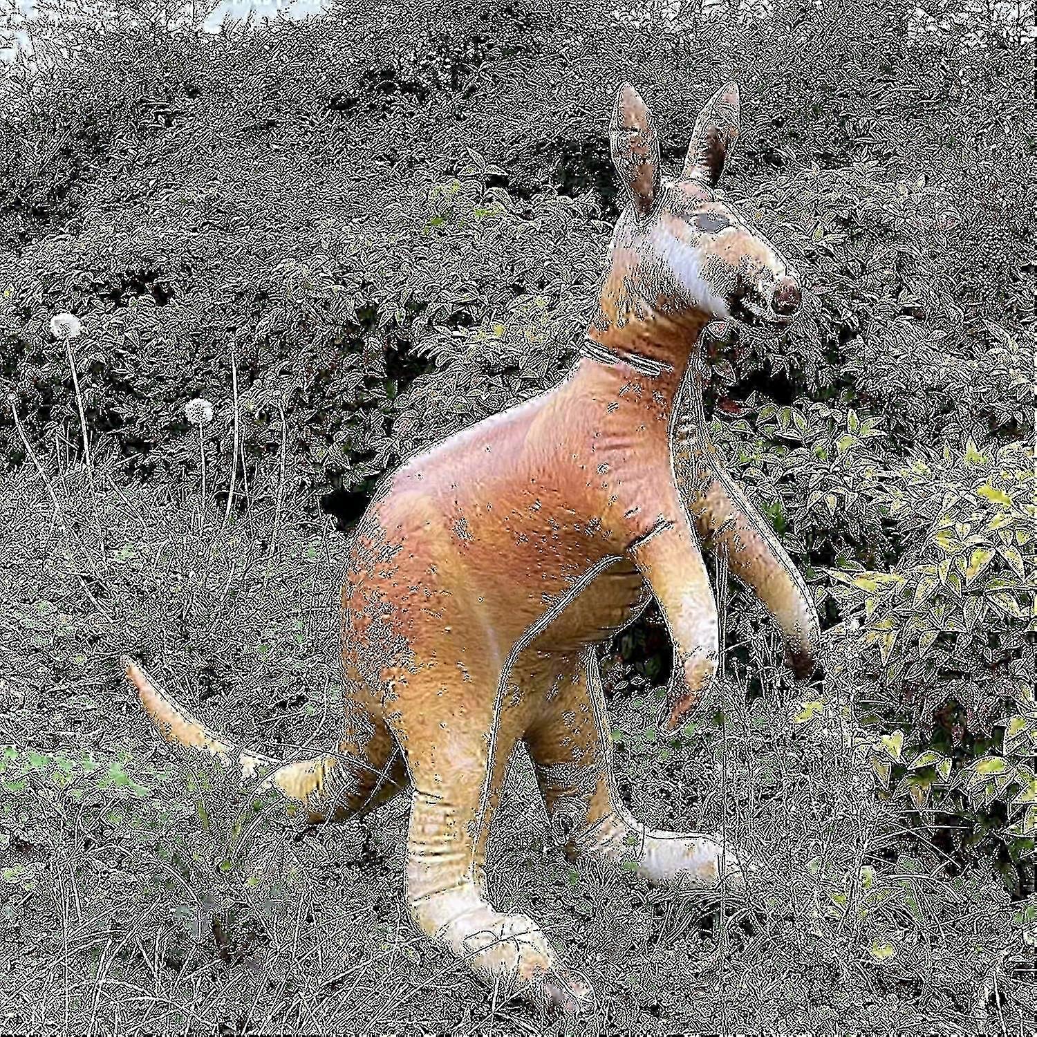 40 Inch Standalone Inflatable Kangaroo