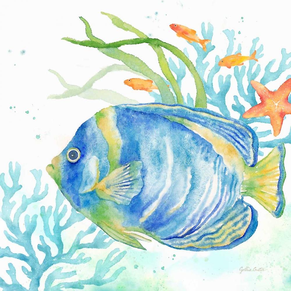 Sea Life Serenade I Poster