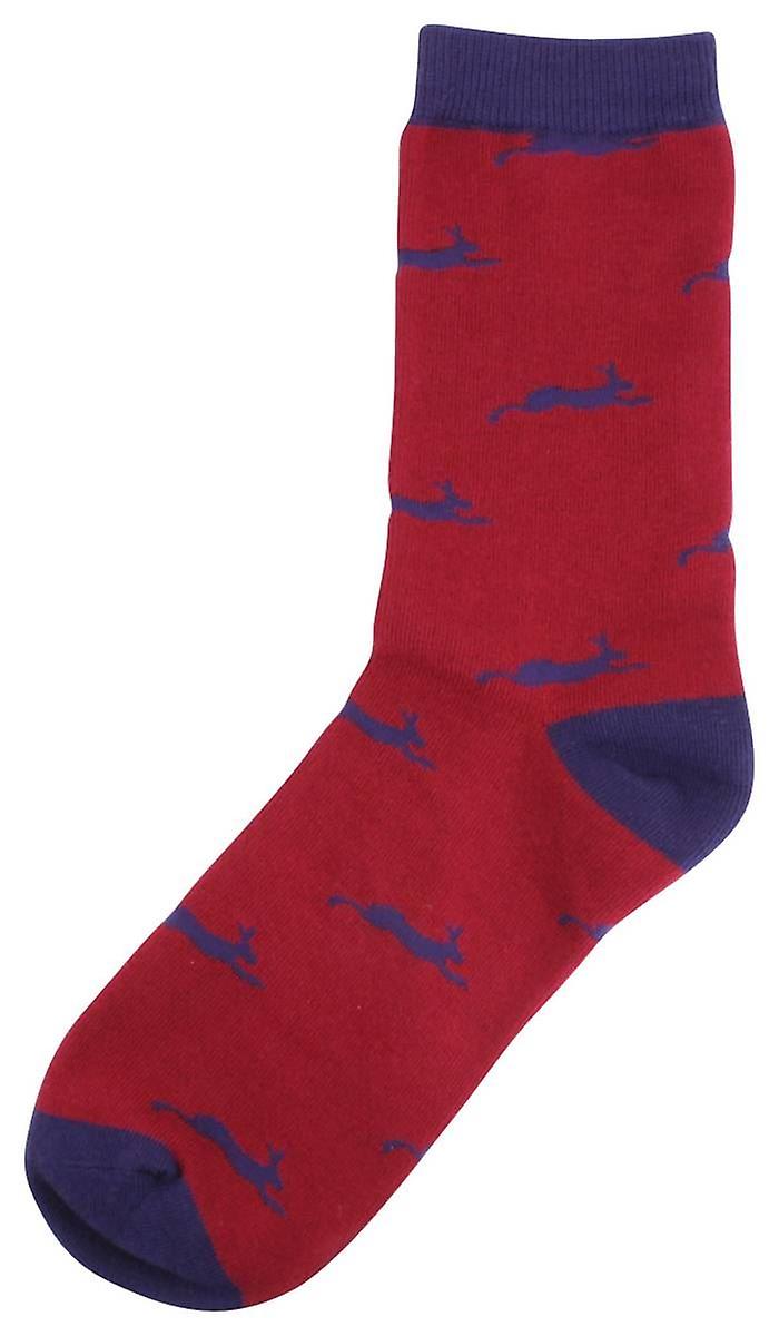 David Van Hagen Hare Socks - Red/Navy