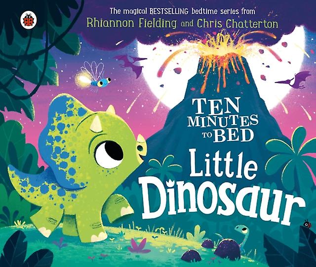 Ten Minutes To Bed Little Dinosaur by Rhiannon Fielding Paperback Book