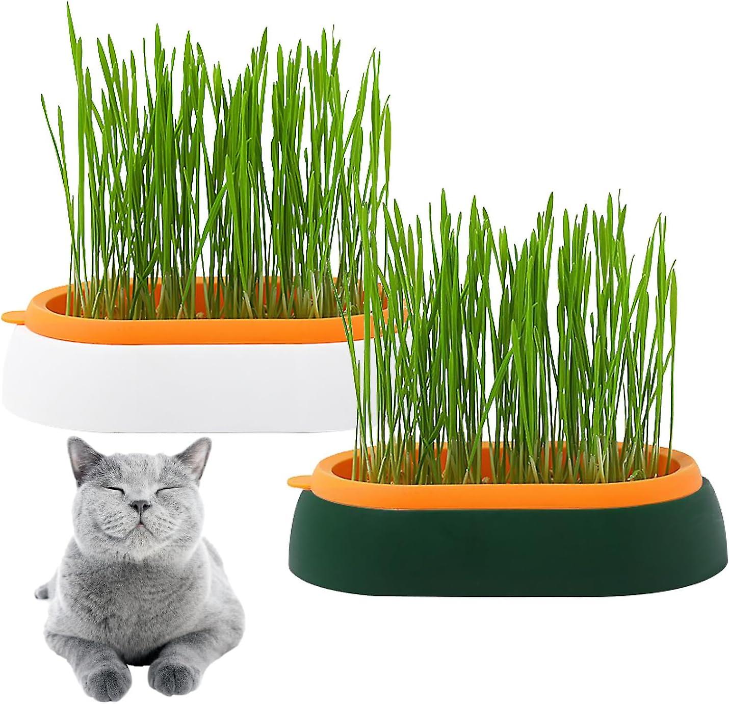 Sprouter for Sprouting Seeds, 2 Pcs Reusable Seed Starting Container for Germination Propagation Nursery Growing Plants, 18.2 x 11.7 x 4.3 cm