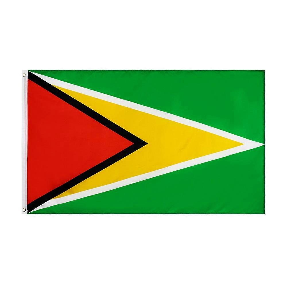 Yehoy Hanging 90*150cm Guyana Flag For Decoration