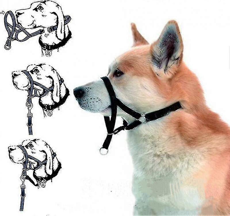 Halti Head Collar Dog Training Obedience Stop Pulling On Lead No Pull Solution-Sincere