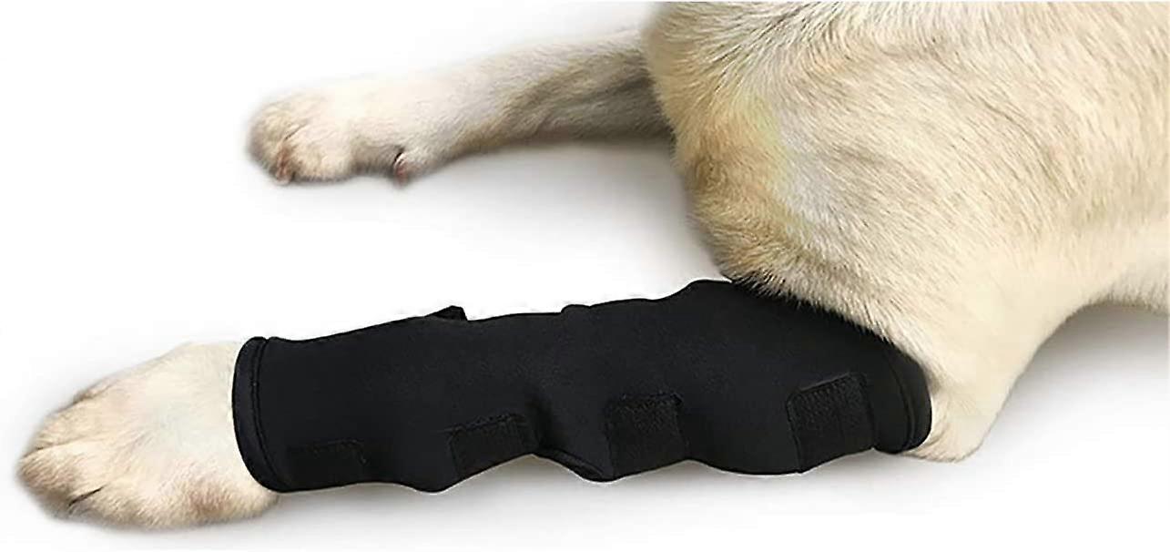 Extra Supportive Dog Canine Rear Front Leg