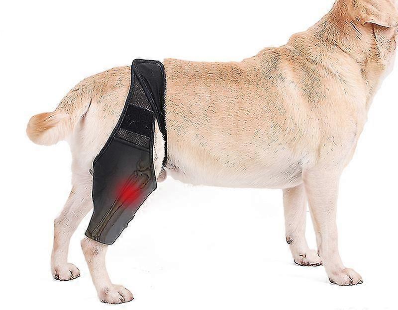 Knee Brace For Dogs With Acl, Knee Cap Dislocation, Arthritis Keeps The Joint Warm Reduces Pain And Inflammation