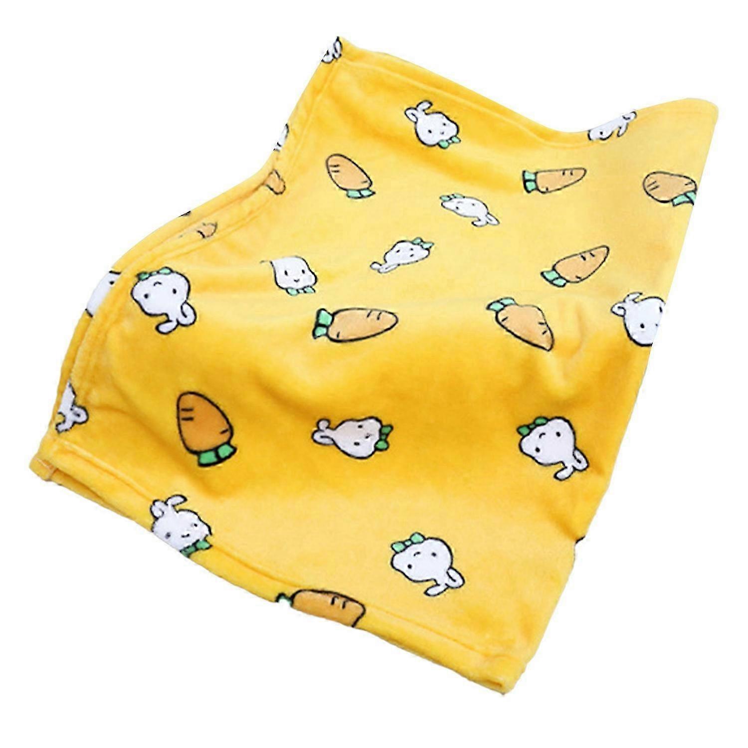 Pet Blanket Thick Soft Warm Double Sided Flannel Coral Fleece Cat Dog Sleep Blanket for Small Medium