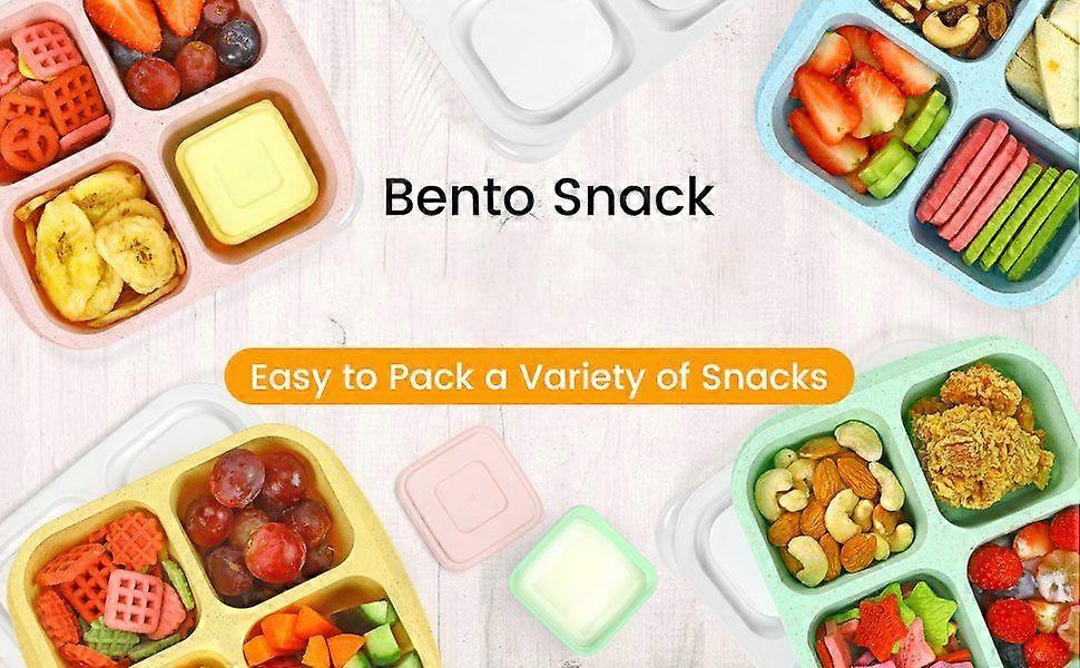 Food Storage Containers Snack Lunch Boxes
