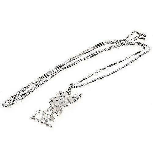 FC hopeoitu kaulakoru ja riipus