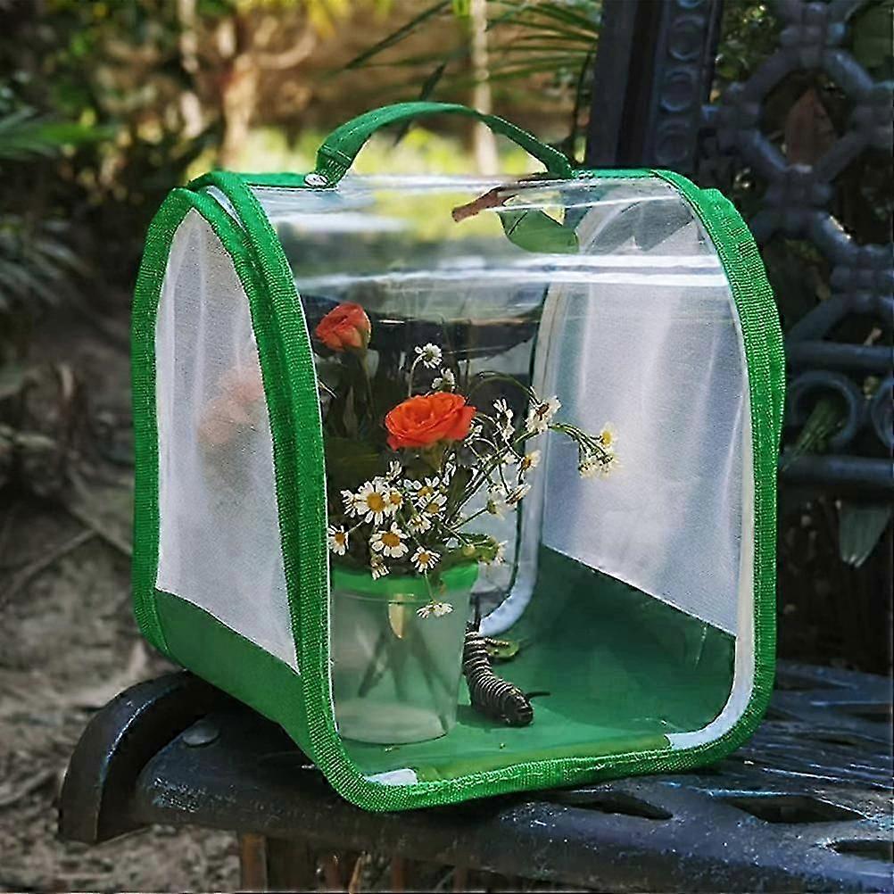 蝶の成長キット、生きた毛虫から蝶へのメッシュケージ、毛虫のポータブル教育生息地、透明パネルによる簡単なお手入れ