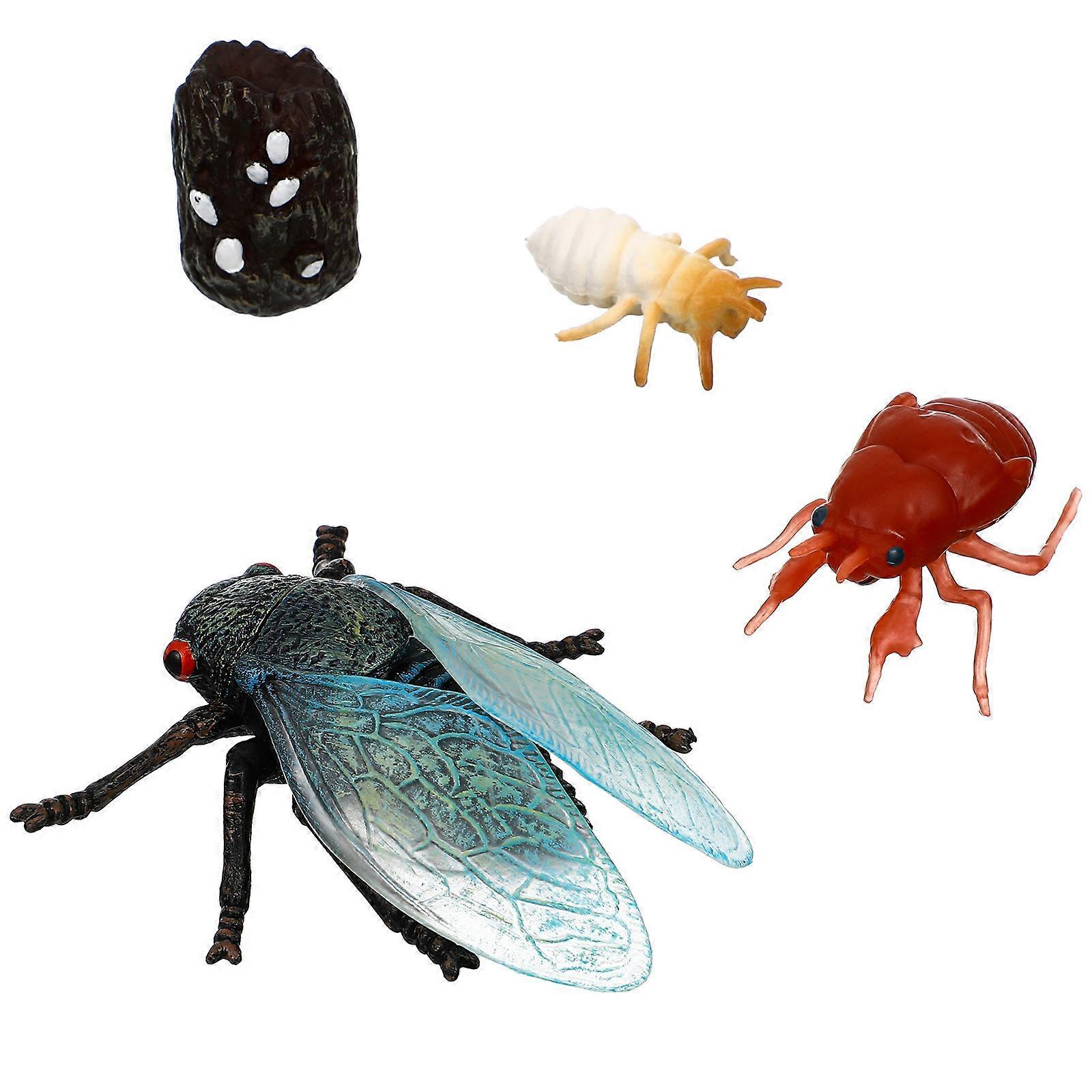 Cicada Life Cycle Figurines Realistic Insect Models Educational Preschool Learning Activity Safe Use