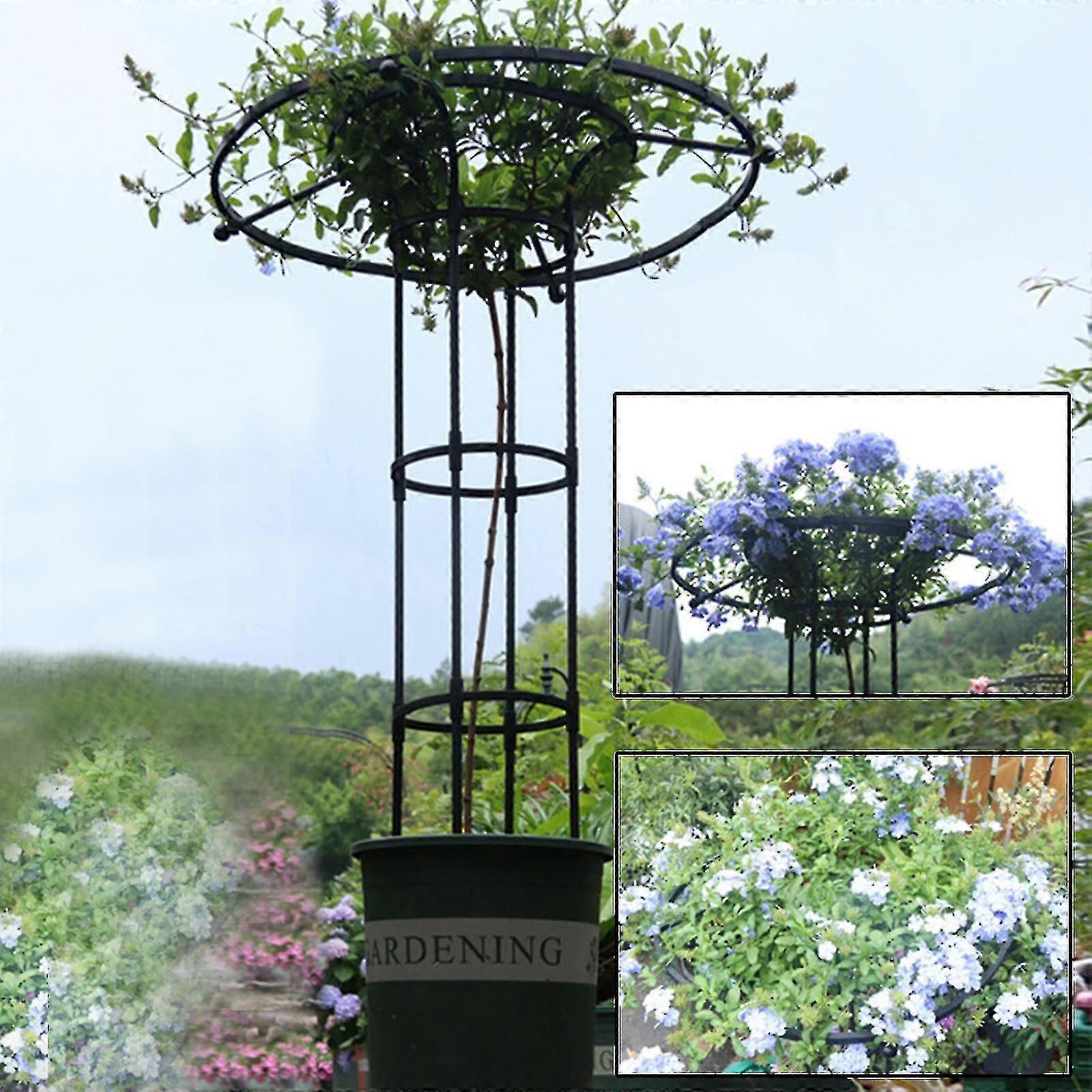 Tırmanma Bitkileri ve Çiçekler İçin Bahçe Trellis , Dış Mekan Kullanımı İçin Metal Bitki Trellis