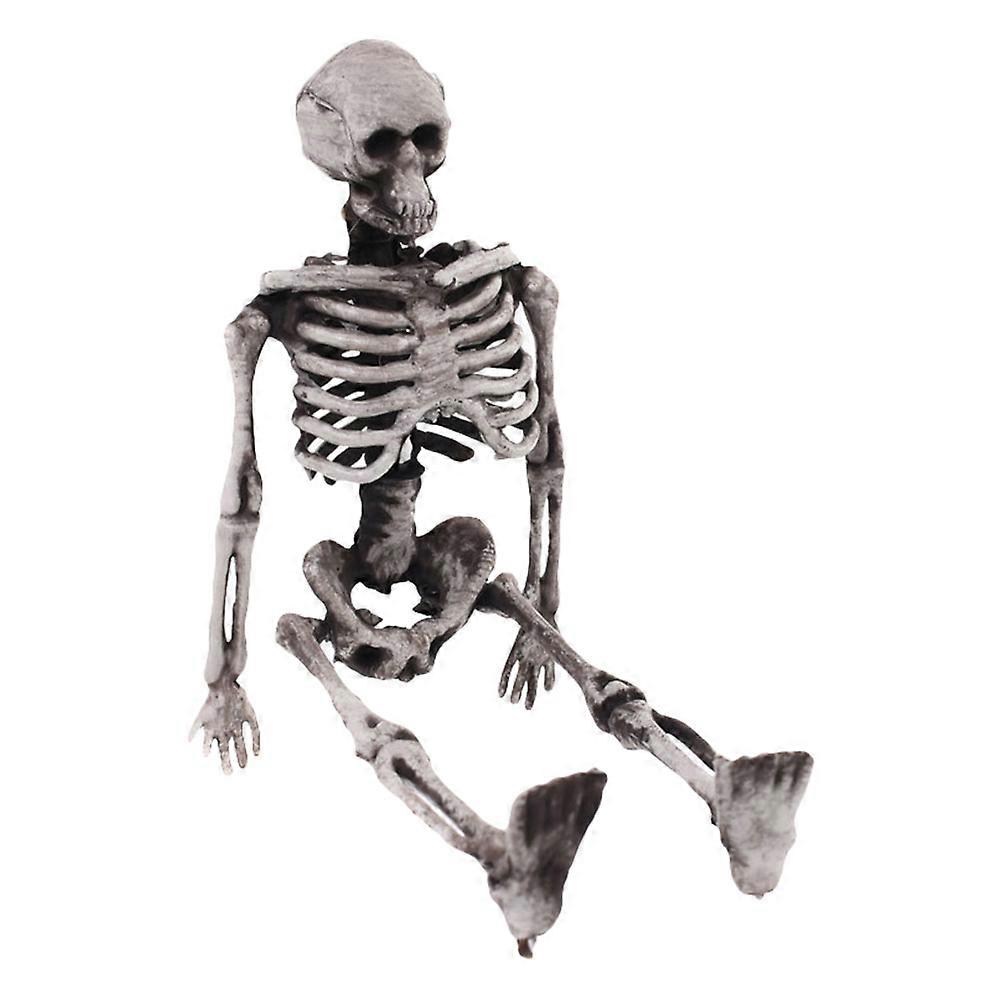 Realistic Skeleton Shape Decoration Model For Halloween Party Suitable For Children Adults 6.1×2.6×0.8in Learning Tool 1Set
