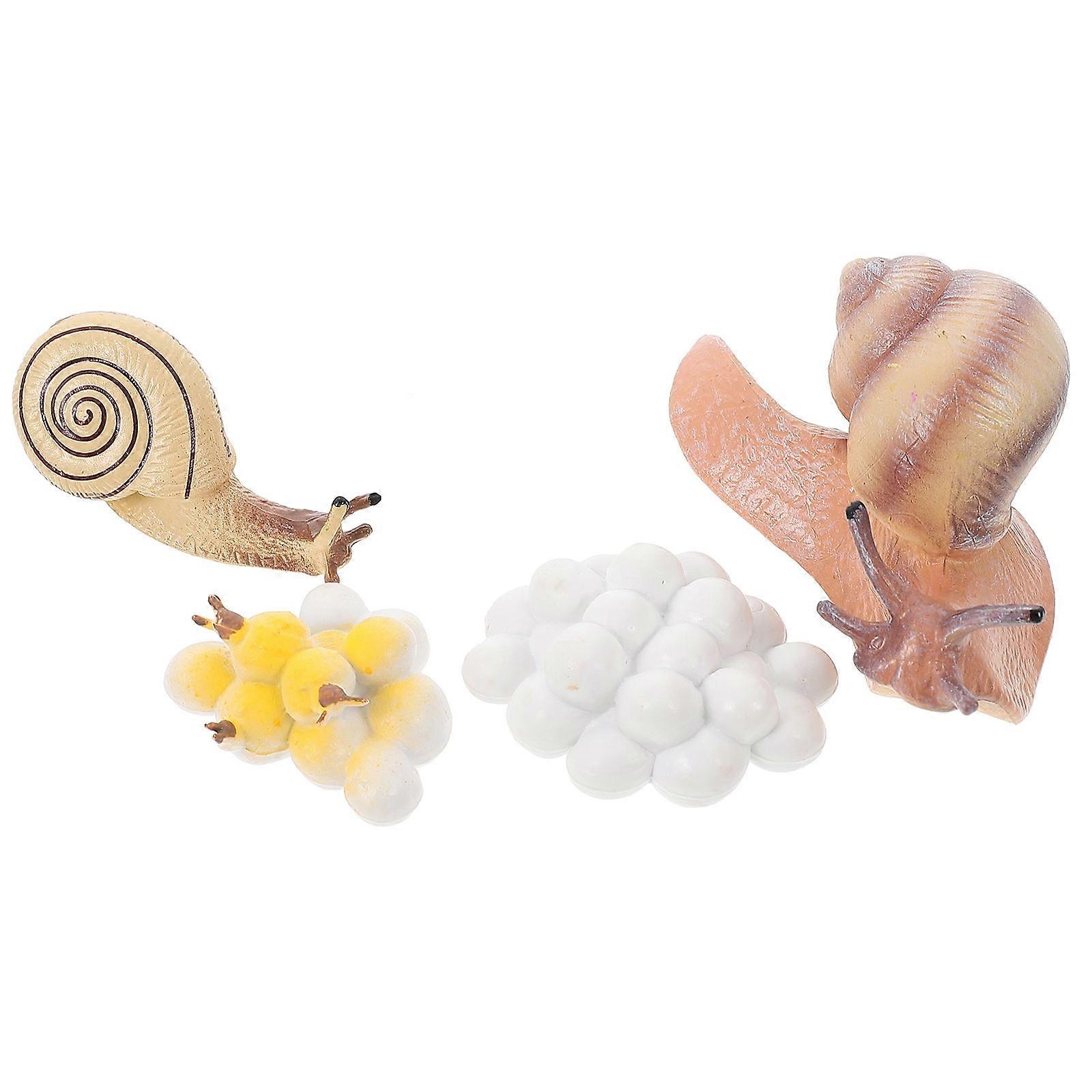 Plastic Snails Evolution Models Home Decoration For Kids Fun Learning Toys 2 Sets