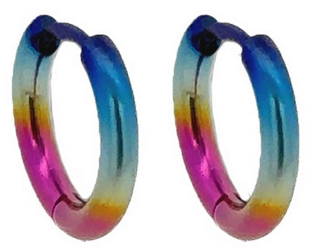 Ti2 Titanium Small Round Hinged Hoop Earrings - Rainbow