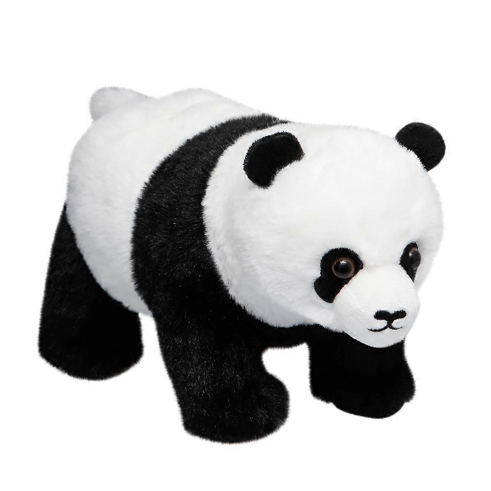 Teddy Panda All About Nature