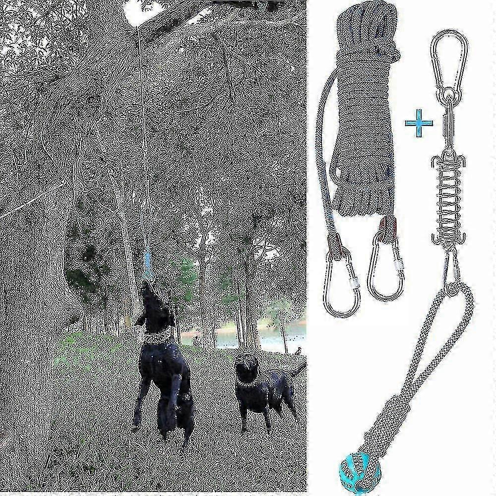 Spring-Activated Dog Hanging Toy