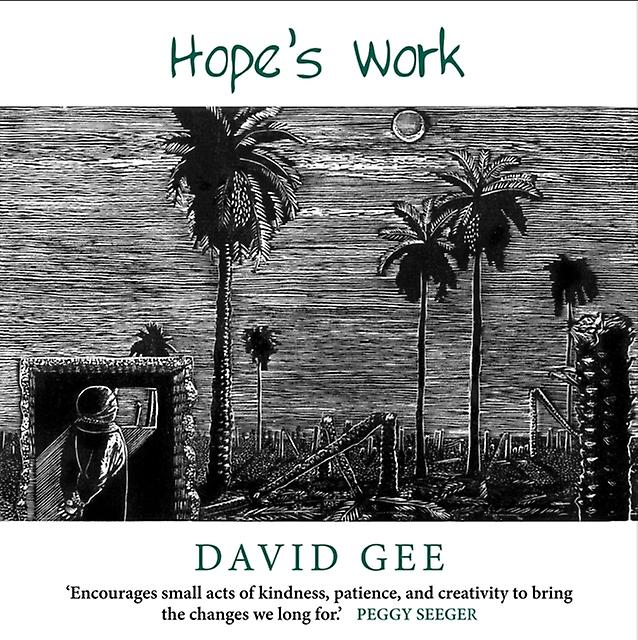Hopes Work by David Gee Paperback