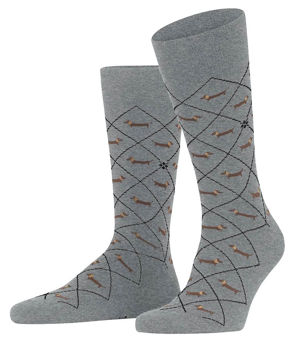 Burlington Dachshund Socks - Light Grey