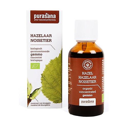 Hazel 50 ml