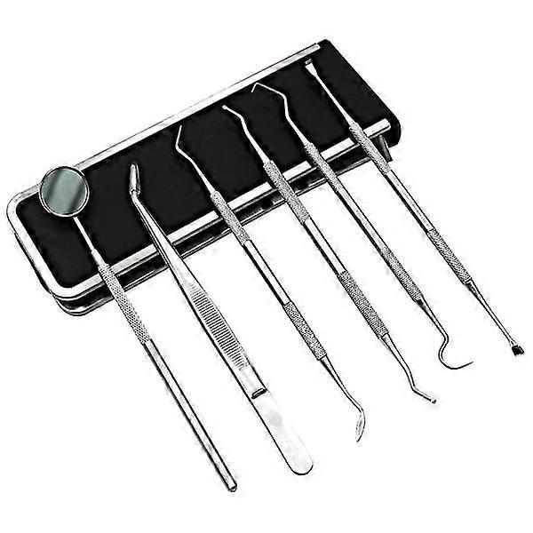 Dental care kit with 6 dental instruments Silver