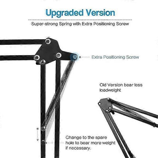 Heavy-Duty Microphone Stand with Windscreen and Dual-Layered Mic