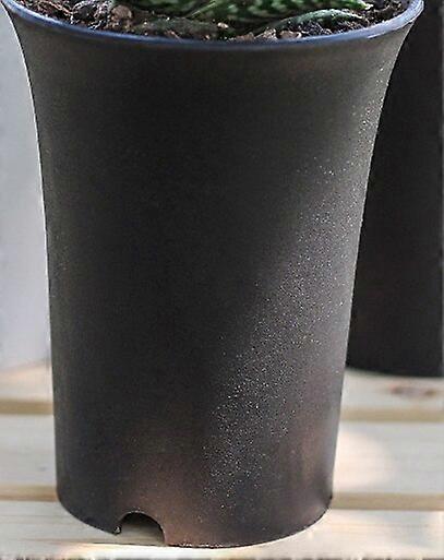 צמח עסיסי אגן כלונסאות ישן אגן ויינטיאן מעובה מט עגול עציץ פלסטיק בעל מותן גבוה עציצי גינון ואדניות שחורים לבנים