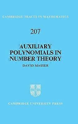 Auxiliary Polynomials in Number Theory