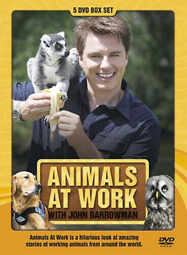 Animals at Work - With John Barrowman DVD (2010) John Barrowman cert E 5 discs - Region 2