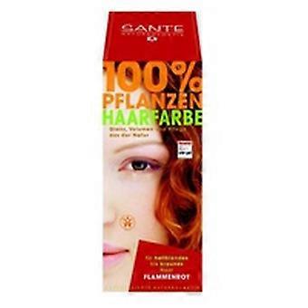 Vegetable Powder Dye Copper (Flame) 100 g