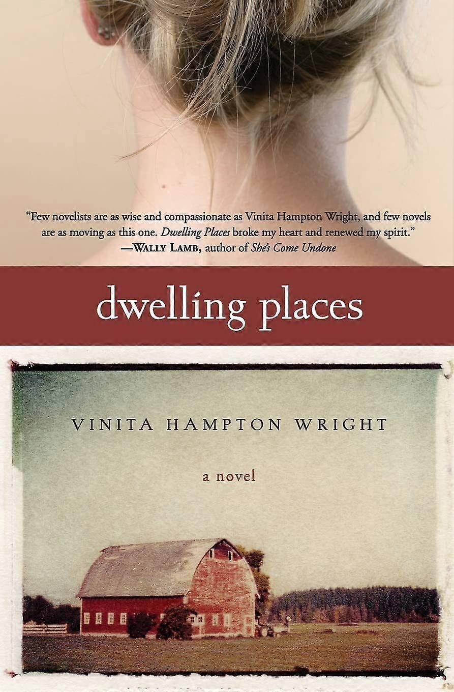 Dwelling places a novel
