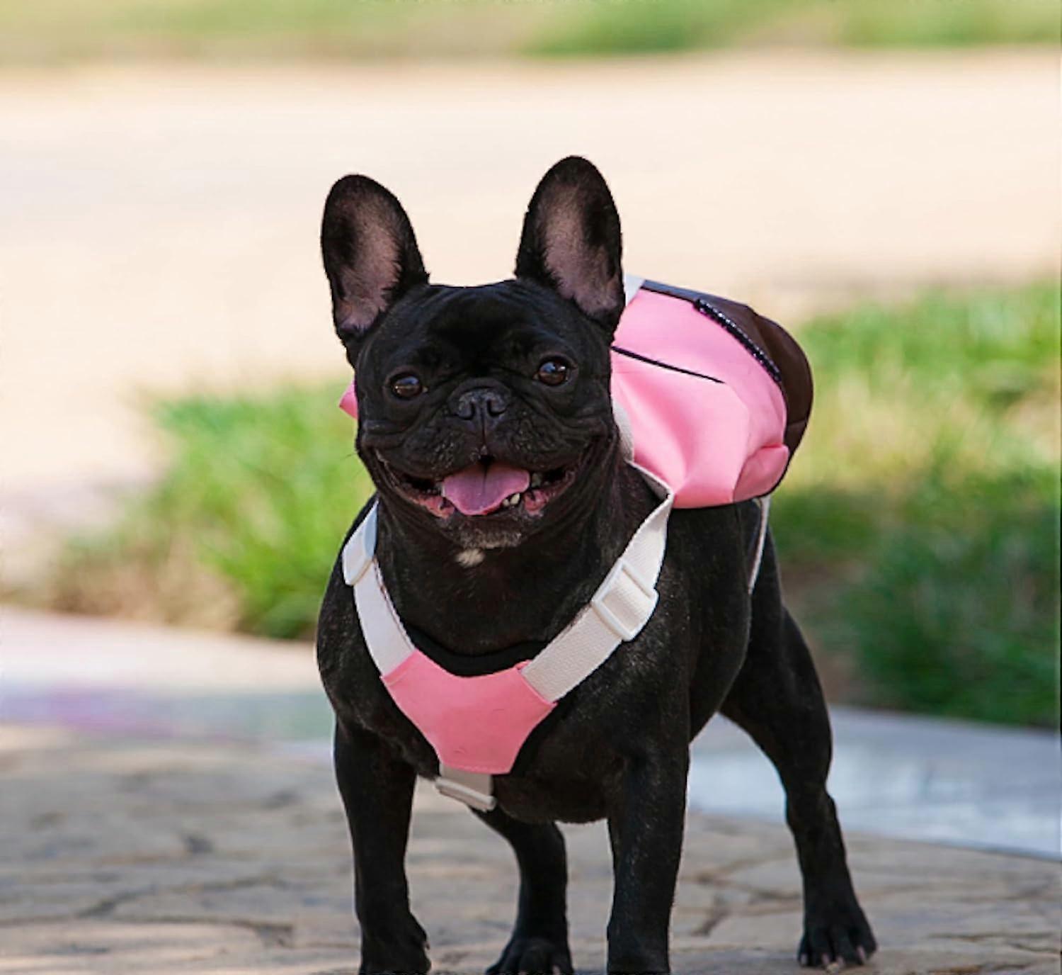 Harness backpack for pets - Waterproof, practical and simple (blue, large)