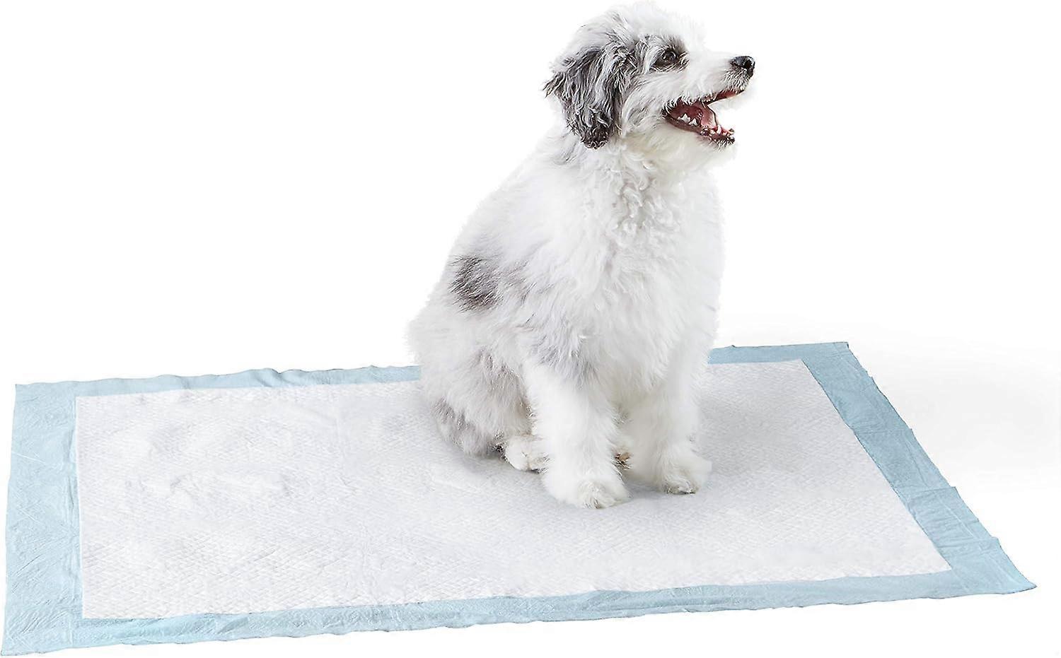 Dog and Puppy Pads, Leak-proof 5-Layer Pee Pads with Quick-dry Surface for Potty Training