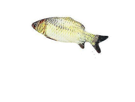 Electric Usb Charging Simulation Catfish Toy