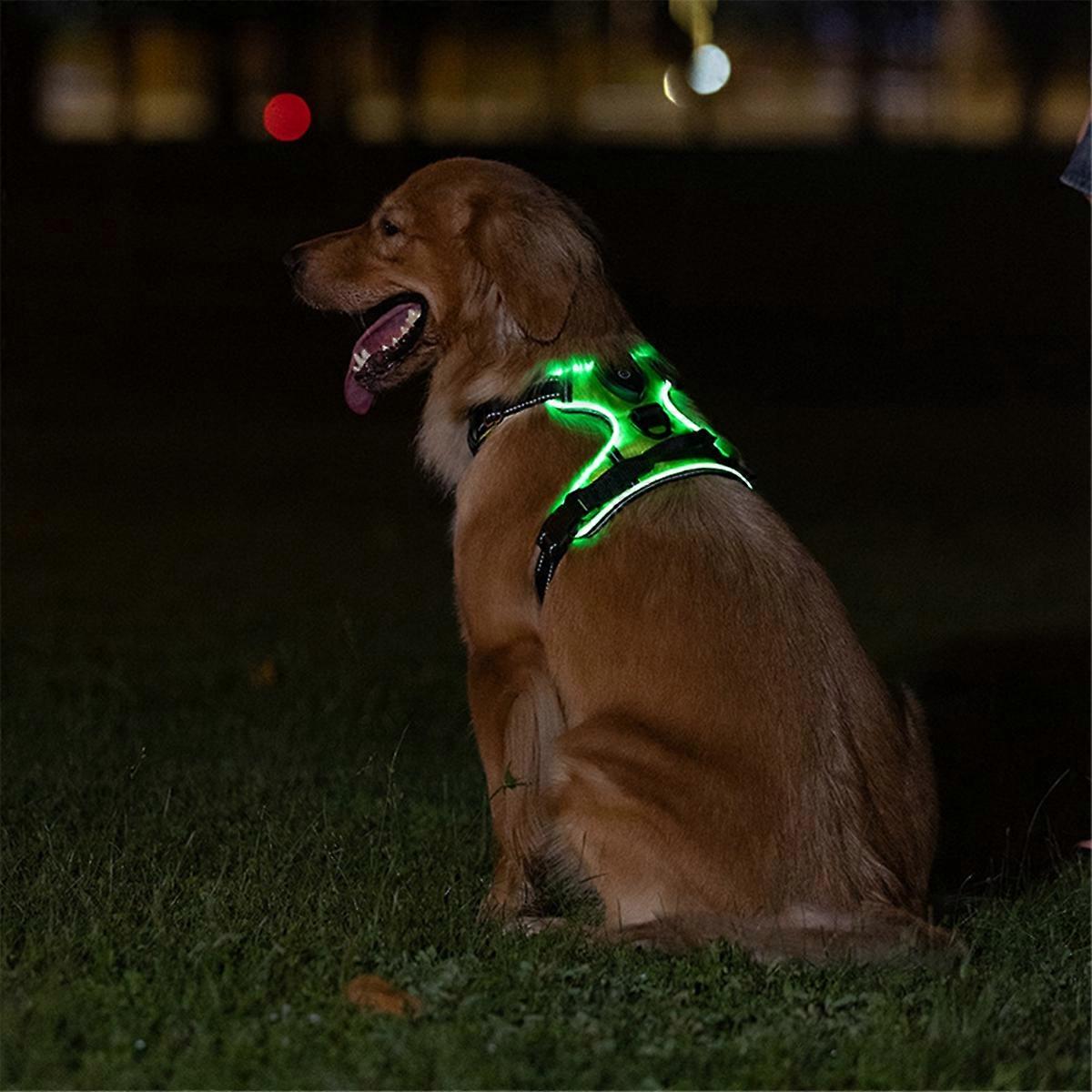 Luminous Pet Harness Adjustable Luminous Pet Chest Strap L