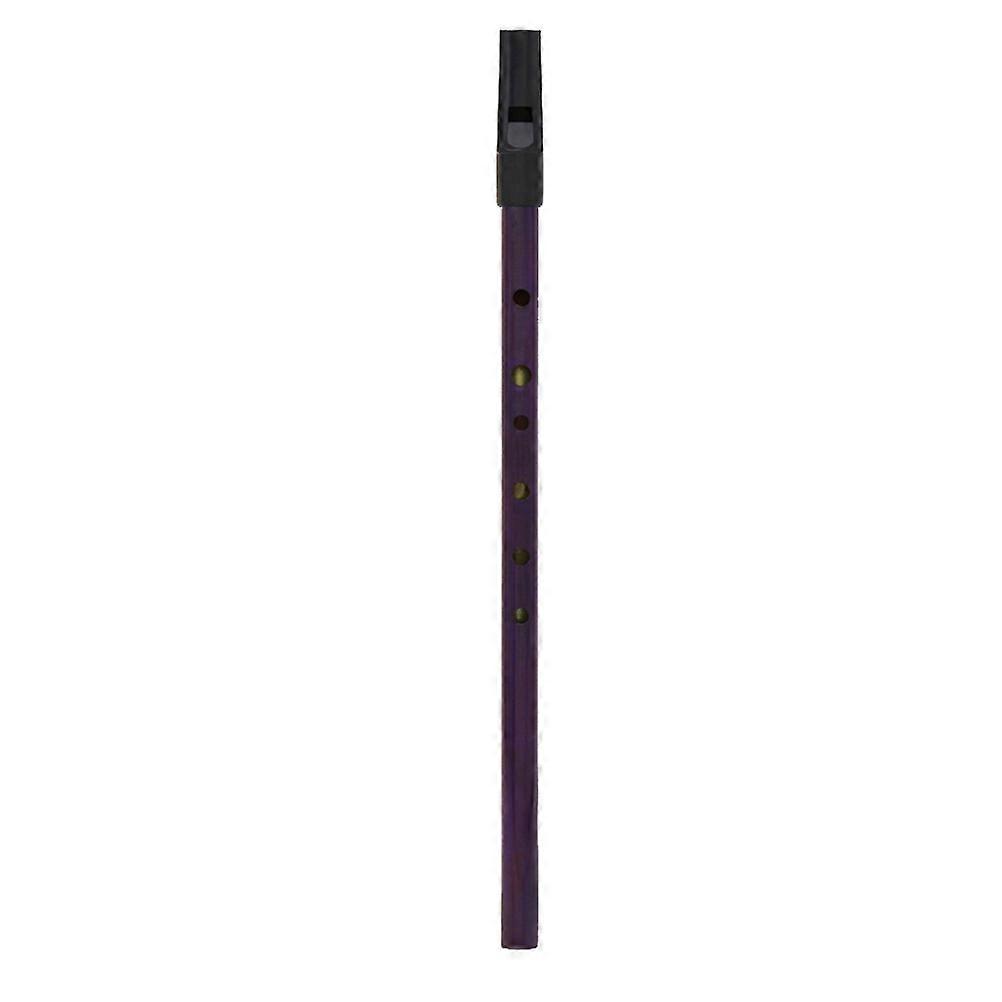 Wind Instrument Recorder Soprano Sound Production Beginners Metal Purple 31X2X2CM 1Set