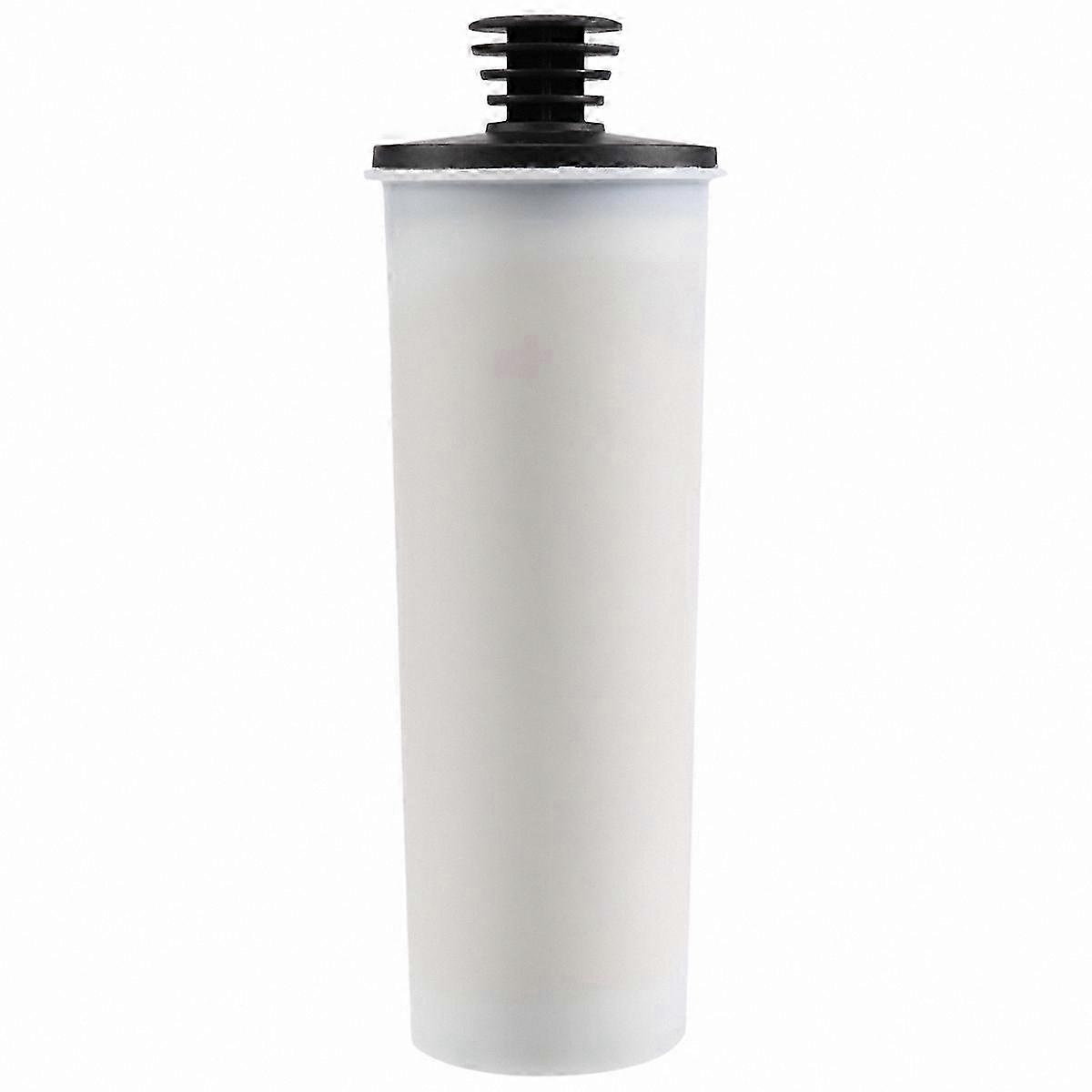 Descaling Filter for Steam Cleaners, Compatible with SC2 SC3 Models, Premium Upright Replacement, 1PCS