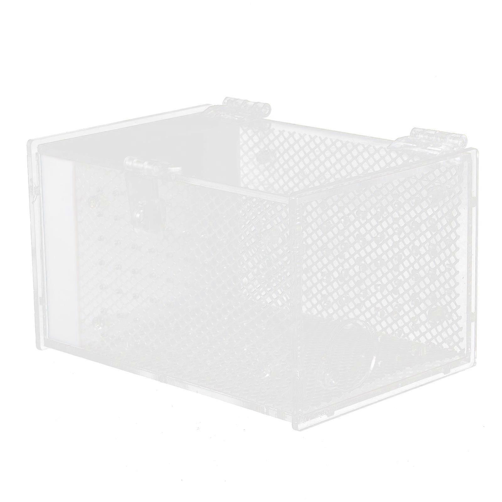 Acrylic Mantis Feeding Box for Insect White Visible Spider Feeding Case