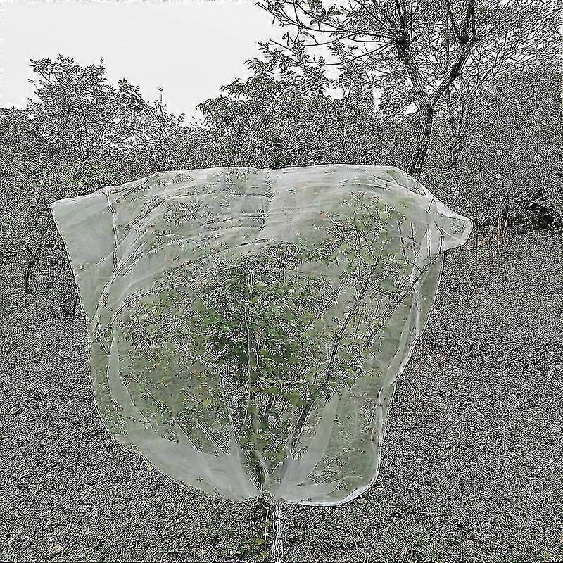 Fruit tree protection netting 2 pack 1m x 1.5m bird barrier