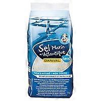 Coarse Atlantic Salt 1 kg