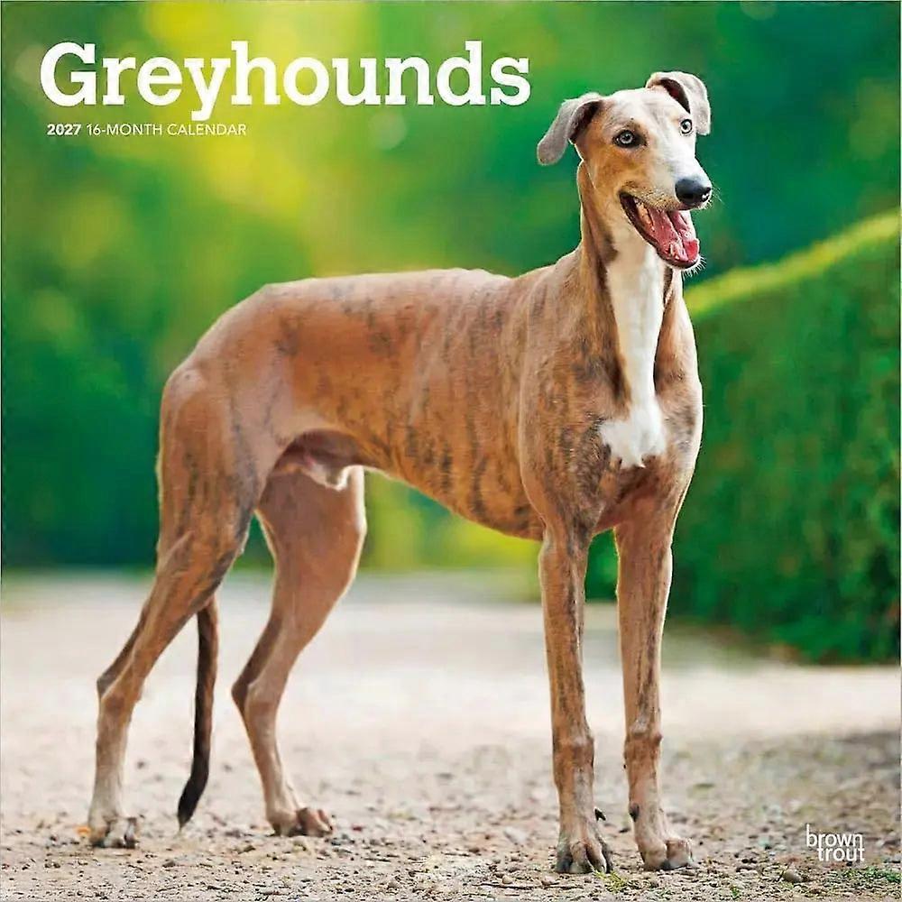 Browntrout Browntrout Greyhound Calendar 2026
