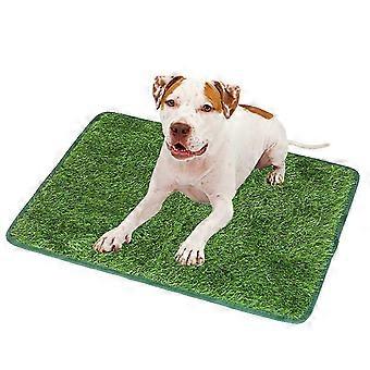 Wear-Resistant Absorbent Odor-Free Dog Training Mat