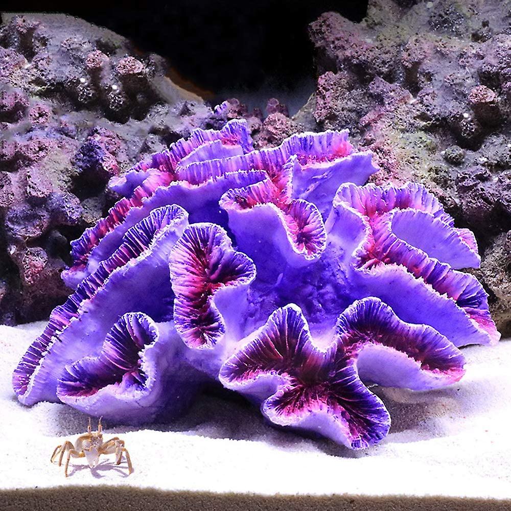 1 Piece Poly Coral TRIM, Aquarium Coral TRIM 6 2/5" x 5 1/2" x 2 7/10"