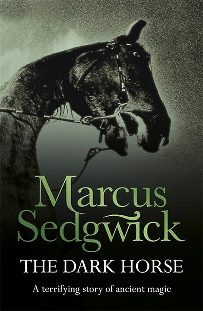 The Dark Horse by Marcus Sedgwick Paperback