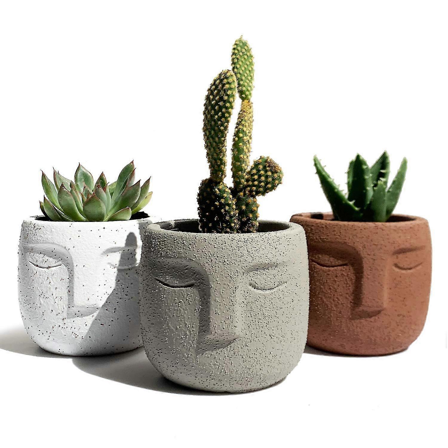 Succulent Plants Pot Set Of 3 Cement Statue Face Shape