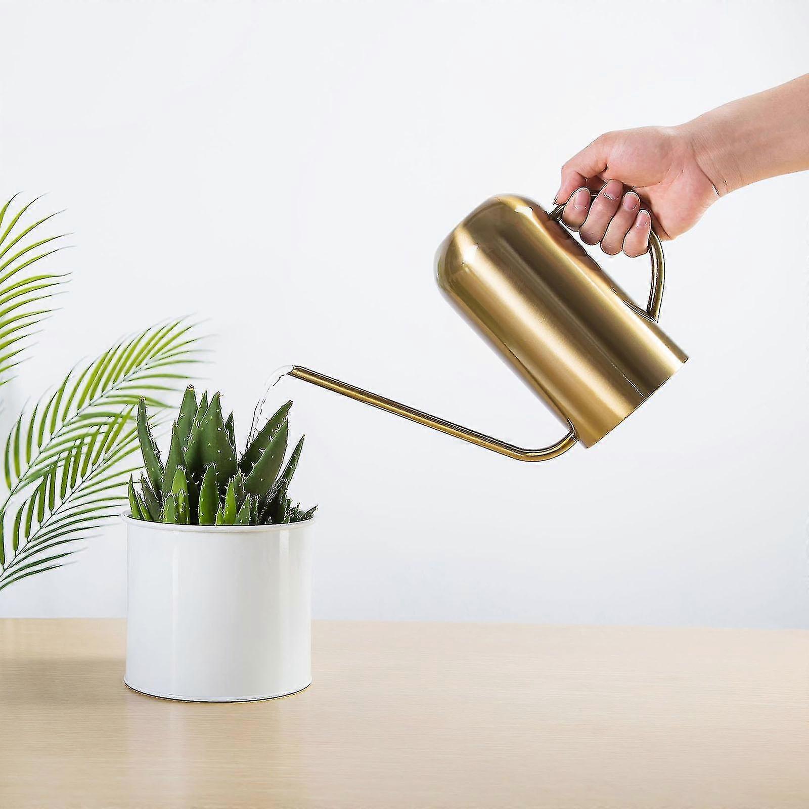 Vandkande Vandkande i rustfrit stål 1,5 l metalvandkande med lang tud for at forhindre spild Perfekt plantevandkande til udendørs og i