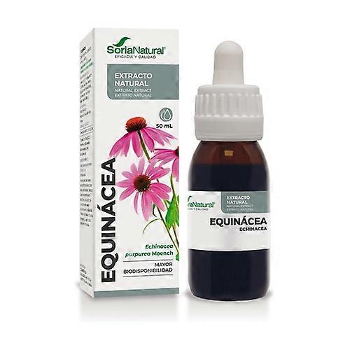 Natural extract of echinacea Formula XXI 50 ml
