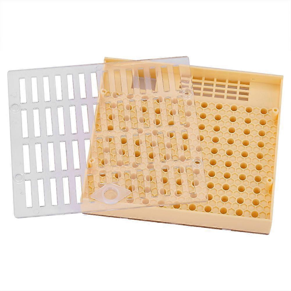 Bee Queen Rearing Cell Cupkit Box Case For Cupularve System Beekeeping Tool