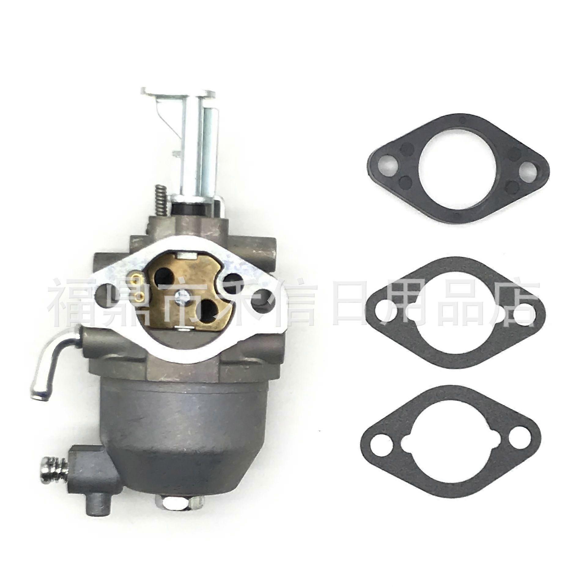 138432 138437 138462 715473 Carburator~1021