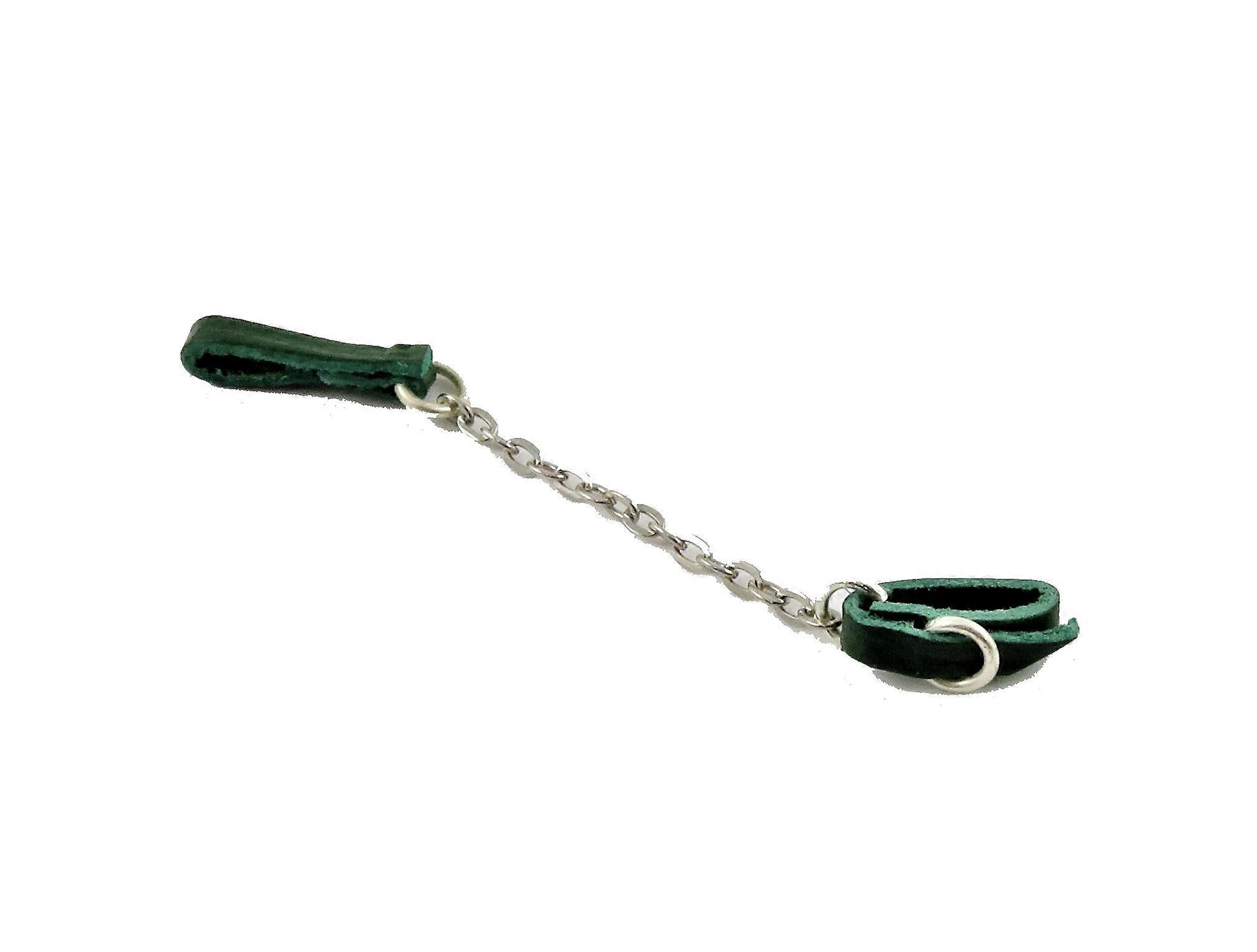 دمى البيت الأخضر الكلب طوق والرصاص المقود اليد أدلى ملحق مصغرة 