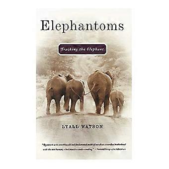 Elephantoms: De olifant volgen